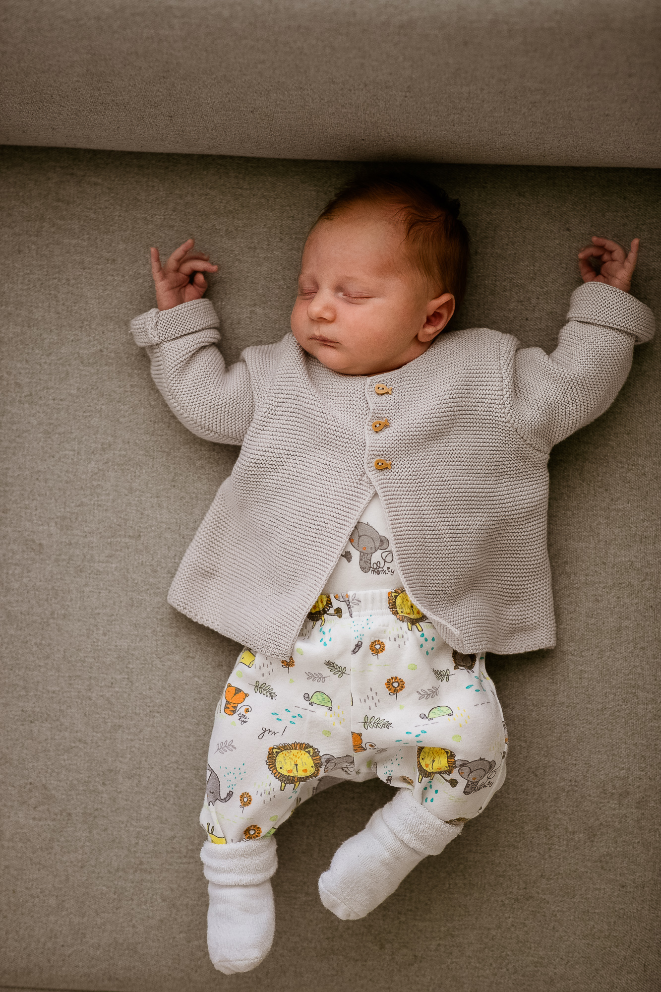 Export x3 1DX28371 Bearbeitet Familienfotoshooting 2019 Hefti